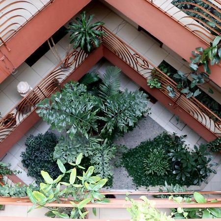 Hotel Martell San Pedro Sula Exterior photo